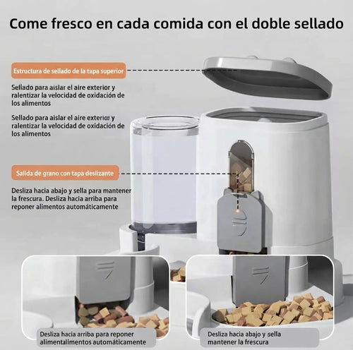 Comedero y Bebedero 2 en 1 para Mascotas: Comida y Agua Siempre Listas